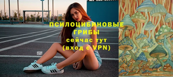 соль ск Алзамай