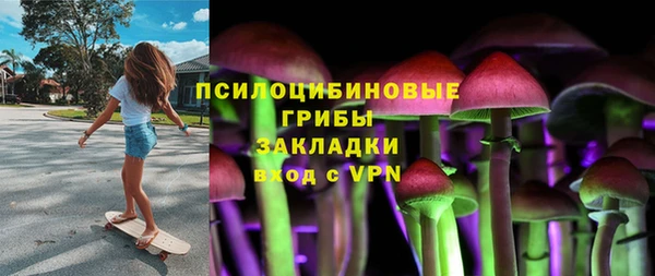 соль ск Алзамай